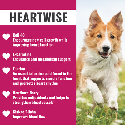Dogzymes Heartwise Capsules