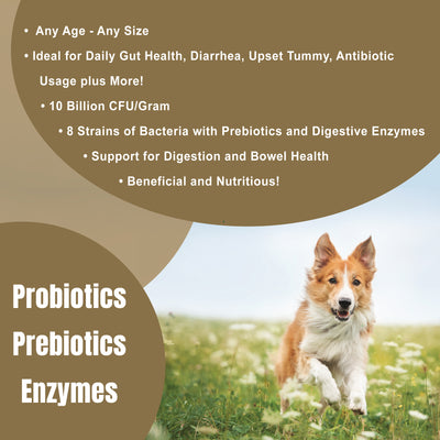 Dogzymes Probiotic Max