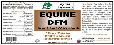 Equine DFM (Direct Fed Microbial)