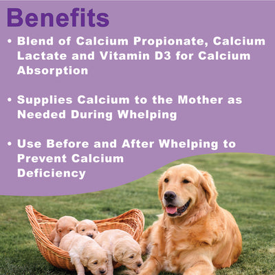 Canine Whelping Calcium Paste