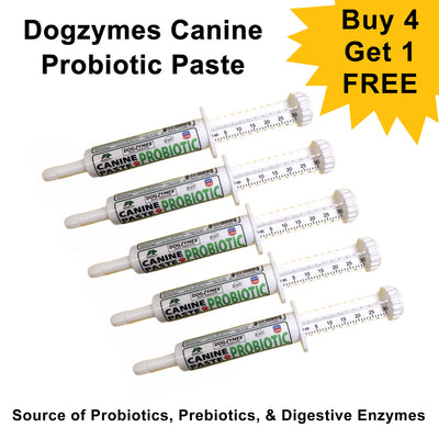 Dogzymes Canine Probiotic Paste Show Pack  5 Tubes (Buy 4/Get 1 Free)